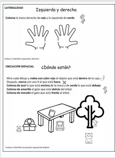 EVALUACIÓN DIAGNÓSTICA PARA PRIMER GRADO, CONOCIMIENTOS Y HABILIDADES - Image 5