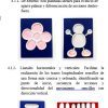 libro3