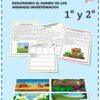 Cubierta de hojas de trabajo educativas para primer y segundo grado que presenta historias y actividades sobre animales invertebrados, con ilustraciones de insectos, coloridas hojas de trabajo y un borde lúdico.