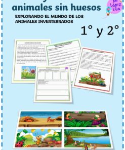 Cubierta de hojas de trabajo educativas para primer y segundo grado que presenta historias y actividades sobre animales invertebrados, con ilustraciones de insectos, coloridas hojas de trabajo y un borde lúdico.