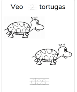 Una tarjeta educativa que muestra dos tortugas de dibujos animados con el texto en español 
