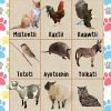 lotería de animales en nahuatl