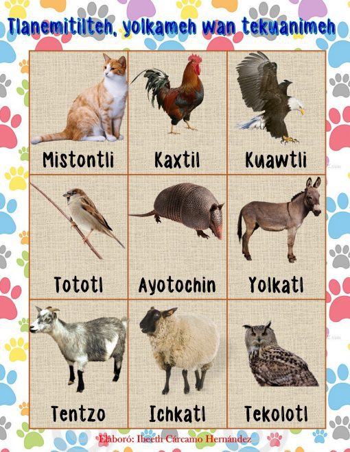 lotería de animales en nahuatl