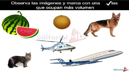 Masa y Volumen para Niños de Primaria