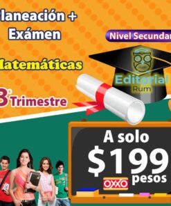 Colorido cartel promocional del plan de examen y guía de estudio 