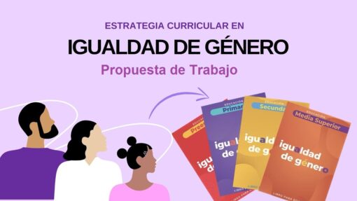 Estrategia Curricular en Igualdad de Género desarrollada