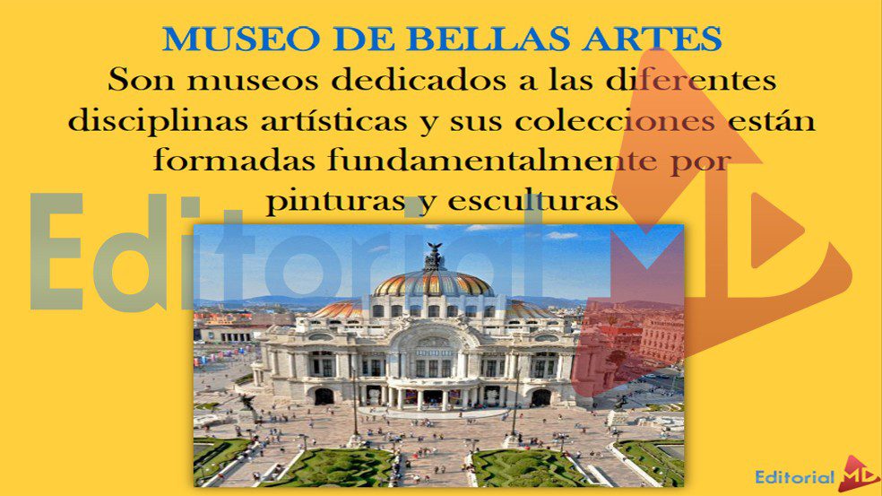 museo-de-bellas-artes-arquitecto