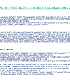 Esta imagen muestra un documento de texto que describe el plan anual de artes (música) para el año escolar 2018-2019, destacando objetivos, prioridades y métodos para mejorar la enseñanza y la participación de los estudiantes en la educación musical.