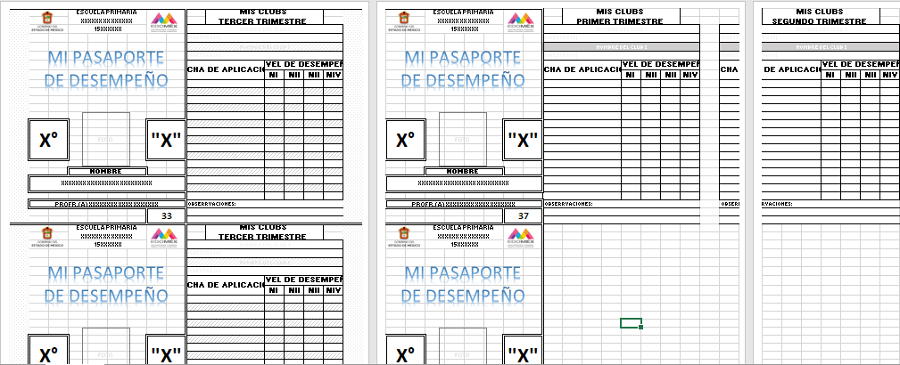 PASAPORTE DE DESEMPEÑO