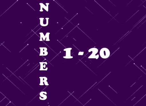 numbers