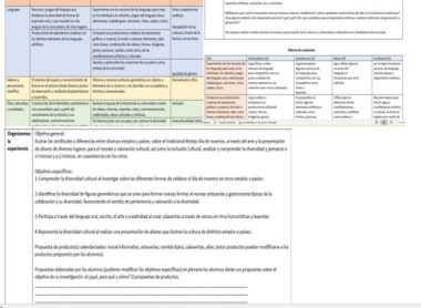 Una tabla detallada con varias celdas de colores que contienen texto. La tabla parece categorizar y elaborar temas de lenguaje, estudios sociales y arte, incluido el "Proyecto de Día de muertos preescolar". Debajo de la tabla se encuentran los objetivos y la información general de un plan de estudios educativo. El texto está en español.