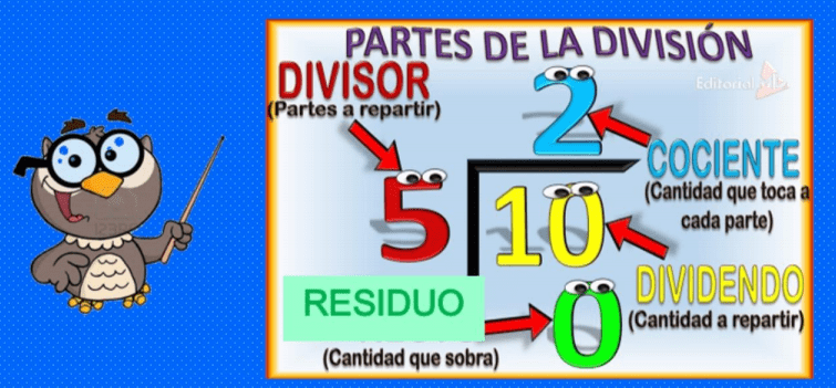 partes de la division para niños