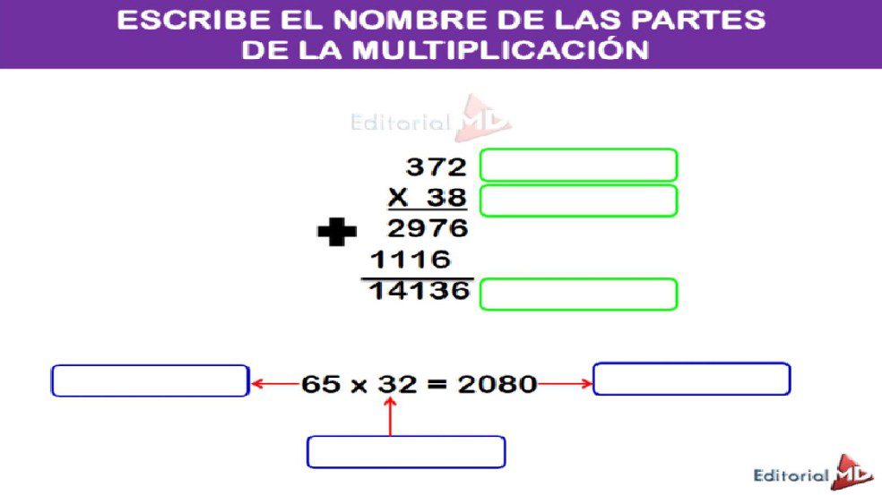 partes de la multiplicacion