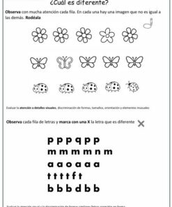 percepcion visual