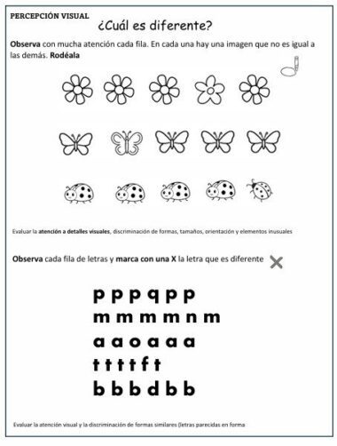 EVALUACIÓN DIAGNÓSTICA PARA PRIMER GRADO, CONOCIMIENTOS Y HABILIDADES - Image 6