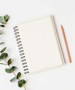 Un Cuaderno de estudio - Dinosaurio (100 hojas) encuadernado en espiral y rayado está abierto sobre una superficie blanca. En el lado derecho, paralelo al cuaderno, hay un lápiz marrón. Una ramita de hojas de eucalipto verde se coloca a la izquierda del cuaderno, añadiendo un toque de verdor natural a la escena.