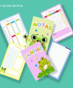 Un arreglo de papelería de papel de colores sobre un fondo verde azulado. Incluye un planificador de horarios, una página de notas con temas de ranas, un calendario para febrero, un Cuaderno de raya con diseño de rana con un diseño de rana y una portada con la etiqueta 