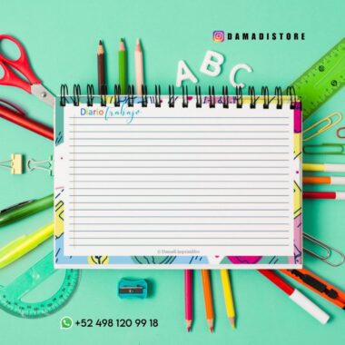 Composición plana de útiles escolares sobre un fondo verde con un cuaderno de espiral abierto en el centro. Alrededor se encuentran lápices de colores, tijeras, una regla, clips, un sacapuntas y letras decorativas. Los datos de contacto son visibles en la imagen.
