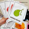Una mano sostiene varias hojas educativas. La hoja visible muestra una ilustración de una vesícula biliar verde con la etiqueta 