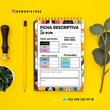 Una hoja de grupo descriptiva colorida en un cuaderno en espiral se encuentra sobre una superficie amarilla con un lápiz, hojas verdes, una planta suculenta e información de contacto de DAMADISTORE, incluidos WhatsApp e Instagram, visibles.