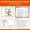 Portada de la planeación animales que vuelan preescolar NEM, Taller crítico, Word editable