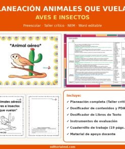 Planeación Animales que Vuelan para Preescolar: Aves e Insectos