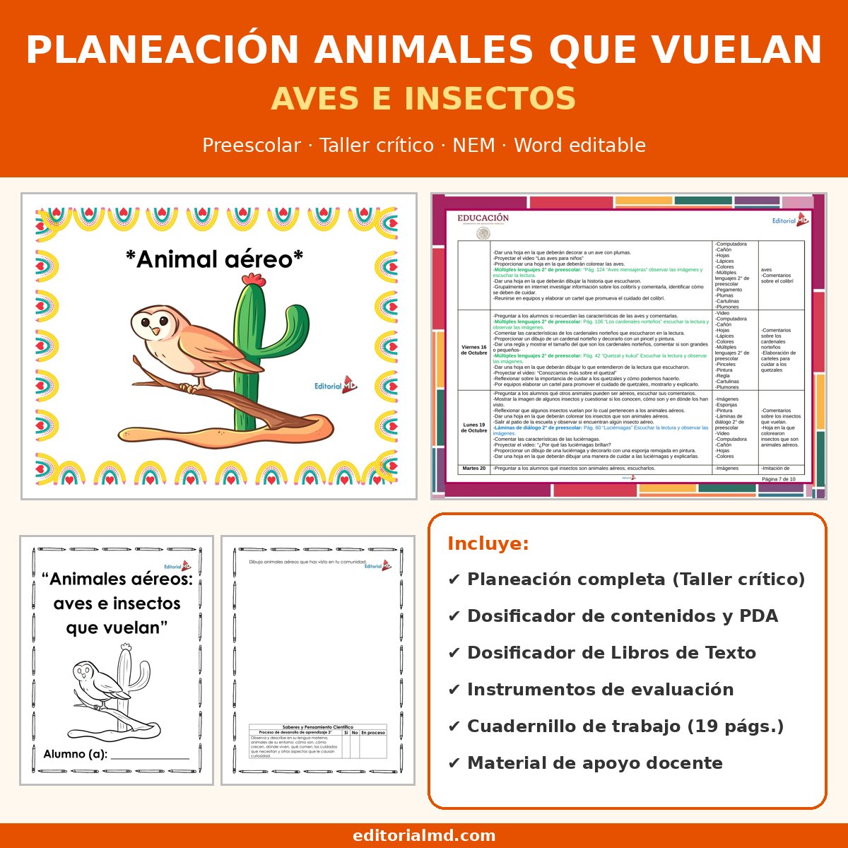 Planeación Animales que Vuelan para Preescolar: Aves e Insectos 1 Portada de la planeación animales que vuelan preescolar NEM, Taller crítico, Word editable