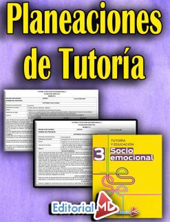 Tutoría