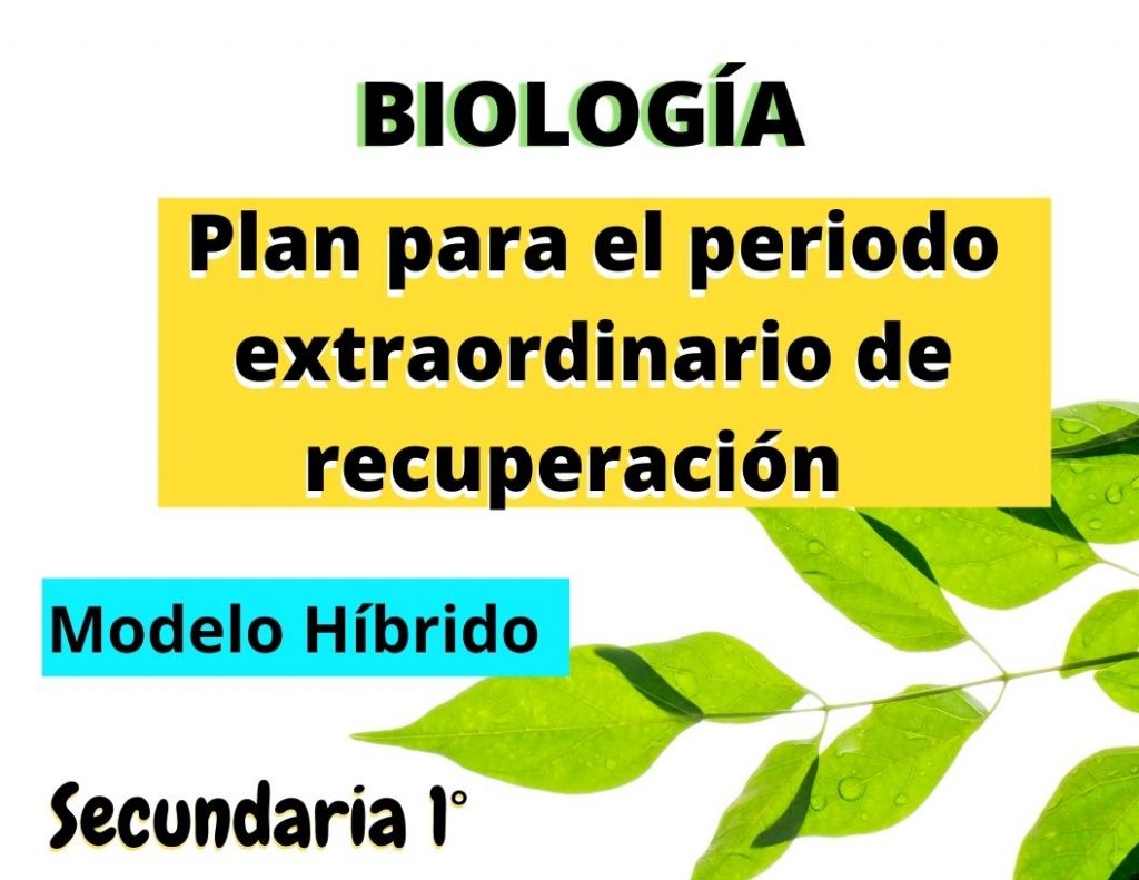 Planeaciones de Biología Secundaria Analíticas (Por Proyectos)