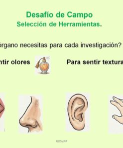ppt 5 guia 1 ciencias