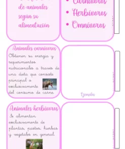 Una infografía en español que detalla la CLASIFICACIÓN DE LOS ANIMALES según la dieta. Las secciones incluyen 