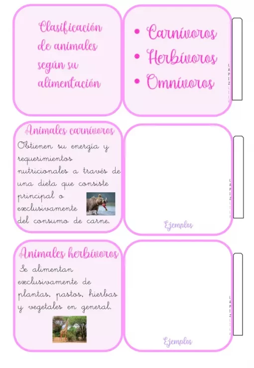 Una infografía en español que detalla la CLASIFICACIÓN DE LOS ANIMALES según la dieta. Las secciones incluyen "Carnívoros", "Herbívoros" y "Omnívoros". Los animales carnívoros se alimentan de la carne, con una imagen de león. Los herbívoros comen plantas y presenta una imagen de un ciervo pastando. Las secciones "Ejemplos" están vacías.