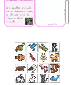 Una imagen etiquetada que explica los animales omnívoros. El texto dice: 