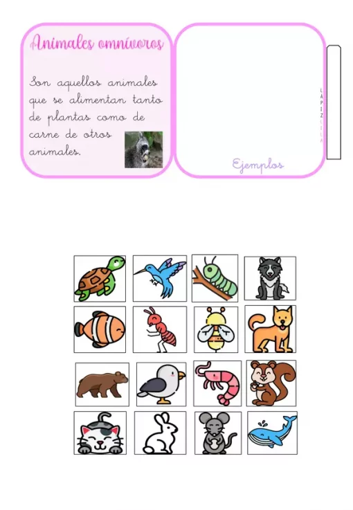 Una imagen etiquetada que explica los animales omnívoros. El texto dice: "Los animales omnívoros son aquellos que comen tanto plantas como carne de otros animales". A continuación se muestran ilustraciones de varios animales, incluidos un oso, una tortuga, un pájaro, una ardilla, un mapache, un cerdo y un pez. Pertenece a CLASIFICACION DE LOS ANIMALES.
