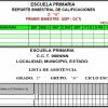 Control de Calificaciones PRIMARIA 1° a 3°