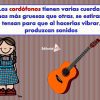 que es Cordófonos