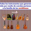 que son los Cordófonos