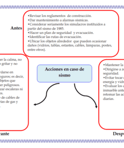 Diagrama de flujo que muestra consejos de seguridad en caso de terremoto en tres fases: 