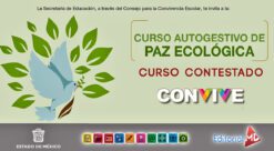 Respuestas del Curso Autogestivo de “Paz Ecológica”