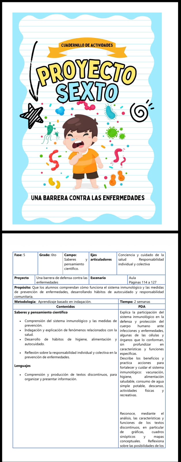 Proyecto: Una barrera en contra de las enfermedades, planeacion y actividades 2 Proyecto: Una barrera en contra de las enfermedades, planeacion y actividades - Imagen 2