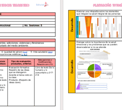 Un documento educativo de dos páginas en español incluye tablas, gráficos y bloques de texto. La página izquierda enumera los objetivos y la organización; la página derecha incluye gráficos de barras y circulares con secciones para actividades y evaluación.