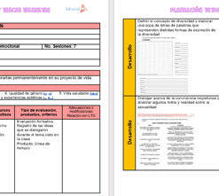 Dos páginas de una plantilla de plan de clase de español con tablas que detallan los datos de identificación, las estrategias de aprendizaje, la organización, la evaluación, los contenidos y las destrezas. El texto llena la mayoría de las secciones, con un pequeño diagrama ilustrado en la página izquierda.