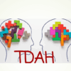 Dos cabezas humanas se enfrentan. Bloques de colores entrelazados llenan la parte superior de cada cabeza. Las letras "TDAH" aparecen en negrita debajo de las cabezas.