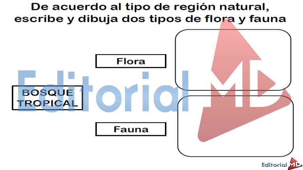 tipos-de-clima