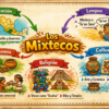 Mapas Mentales Culturas Mesoamericanas 6 Infografía sobre los mixtecos, que muestra su ubicación en Oaxaca, Puebla y Guerrero, su lengua mixteca, economía, religión y cultura, con coloridas ilustraciones y categorías etiquetadas.